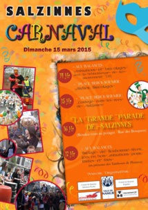 Le Carnaval à Salzinnes Le Carnaval à Salzinnes