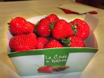 La saison 2015 des fraises est ouverte