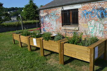 Quartier de Basse Enhaive : un potager partagé
