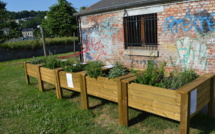 Quartier de Basse Enhaive : un potager partagé