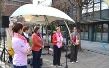 Le Jardin de la Maison de la Culture
