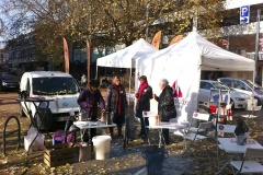 Caravelle droits des femmes Namur_05