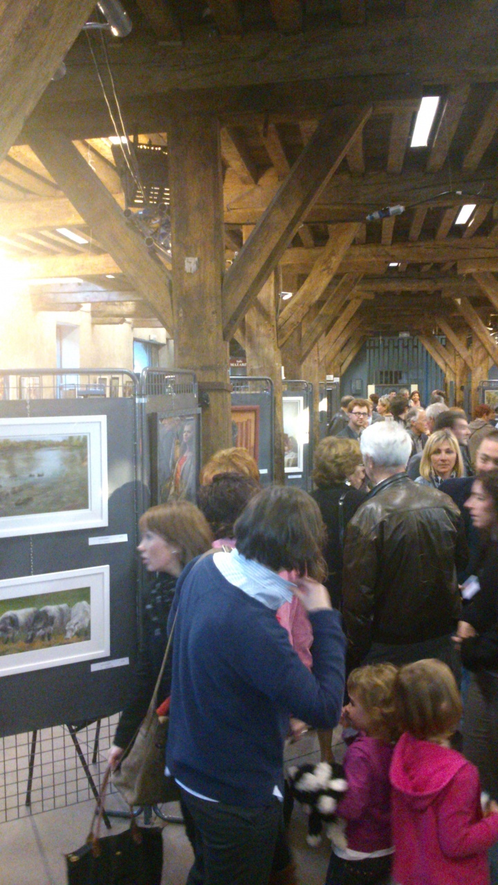 namur salon pastellistes__01