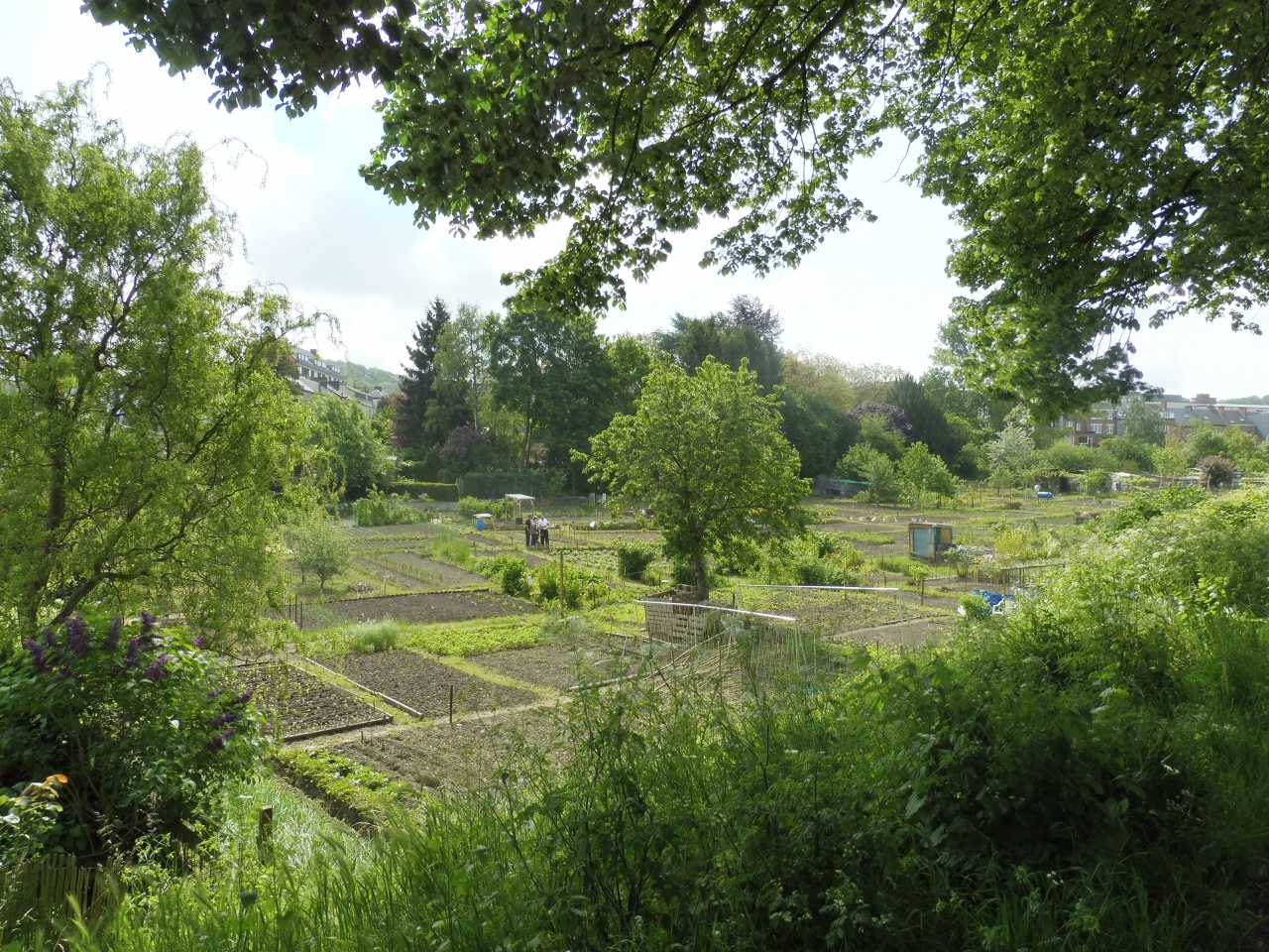 Salzinnes potager communautaire_01